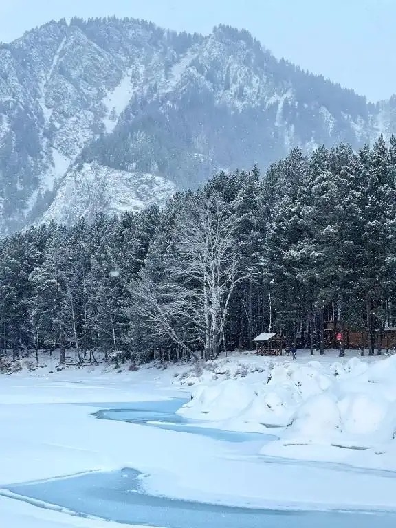 СИЛА АЛТАЯ