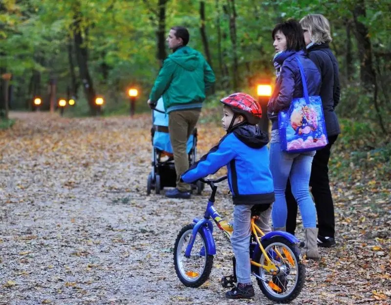 CITY PARTNER SZIESZTA