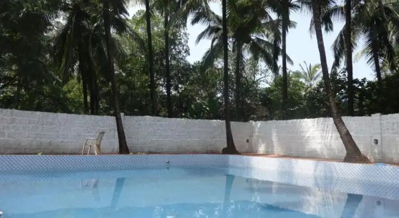 ASHOKA ASHVEM (EX. SHIVA)