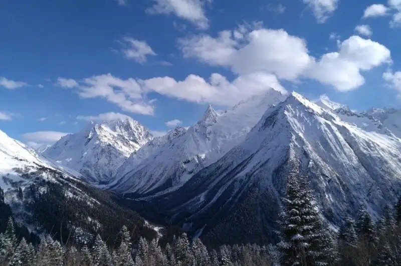 У НАРЗАНА