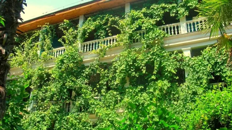 МАЛАХИТ ЯЛТА
