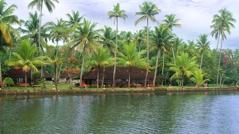 ZAMA AYURVEDA WELLNESS CENTER