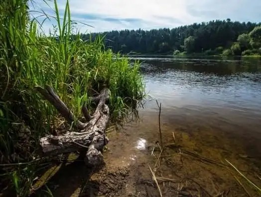 КРОНОН ПАРК ОТЕЛЬ