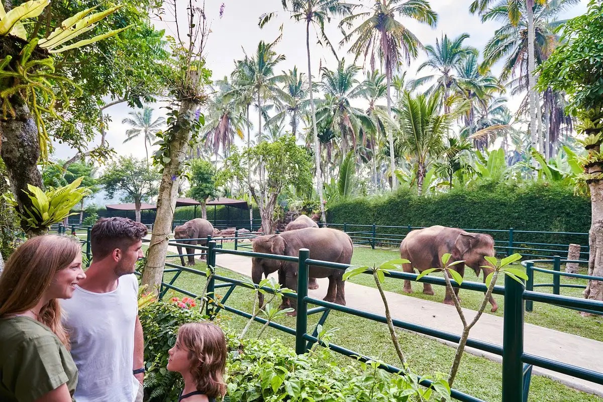 MASON ELEPHANT PARK AND LODGE