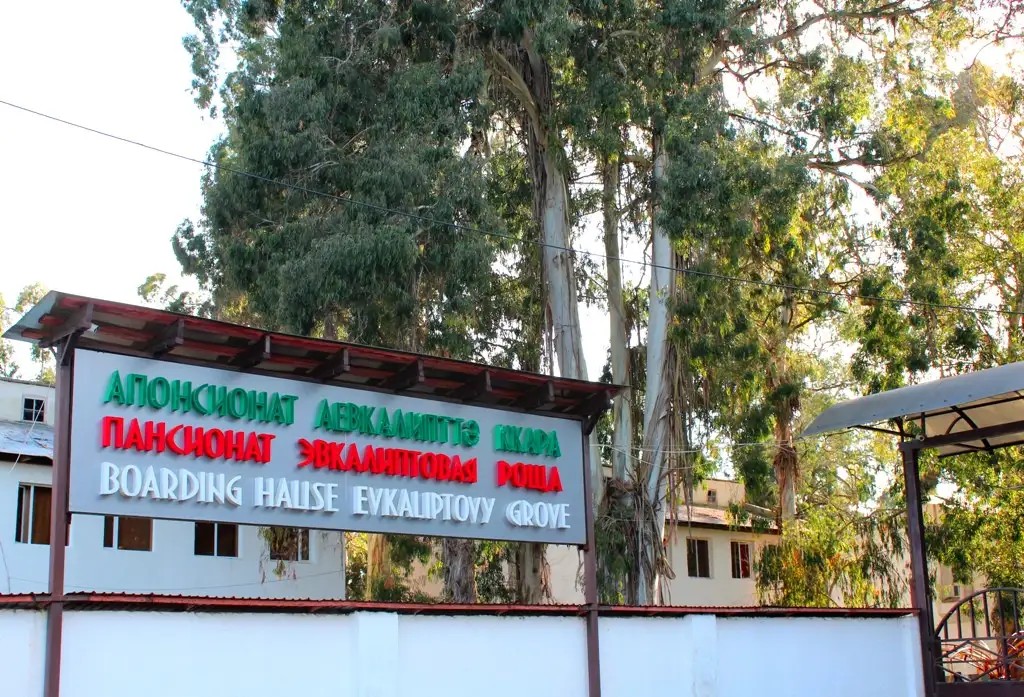 ЭВКАЛИПТОВАЯ РОЩА