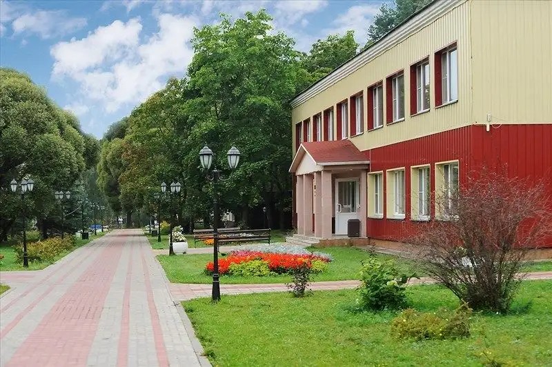 АТЕЛИКА СОСНОВЫЙ БОР