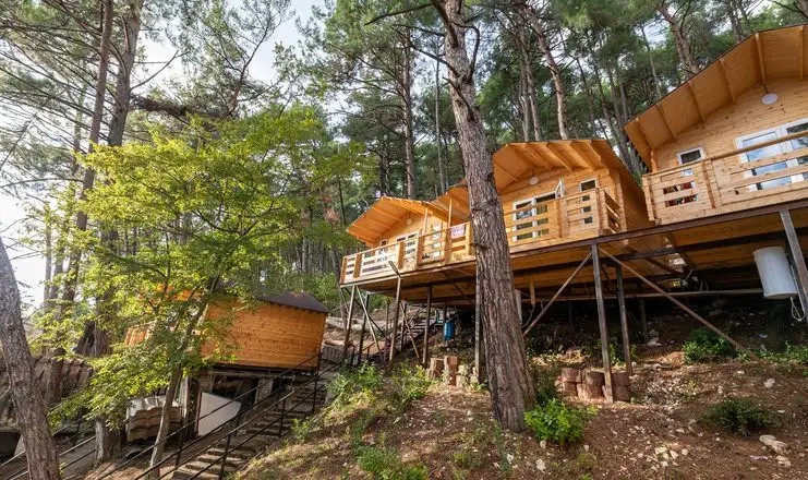 СОЛНЕЧНЫЙ ЛЕТНИЙ