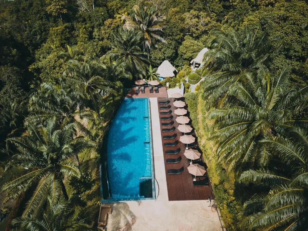 AONANG FIORE