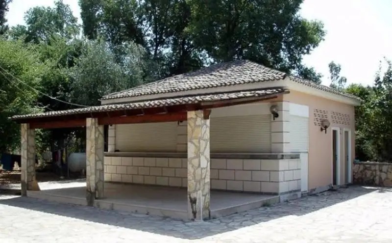 DASSIA MARGARITA