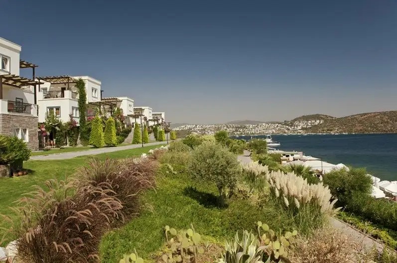 AKTUR RESIDENCE