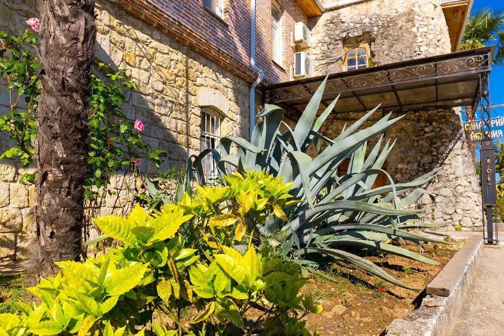 АБХАЗИЯ ИСТОРИЧЕСКИЙ САНАТОРИЙ