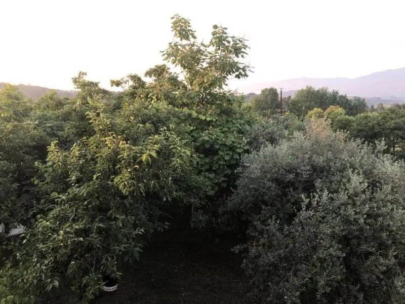 ШАЛЕ У МОРЯ