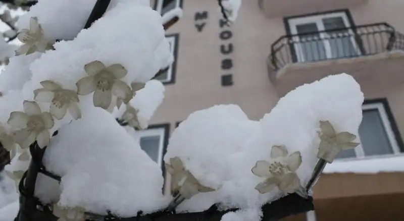 MY HOUSE