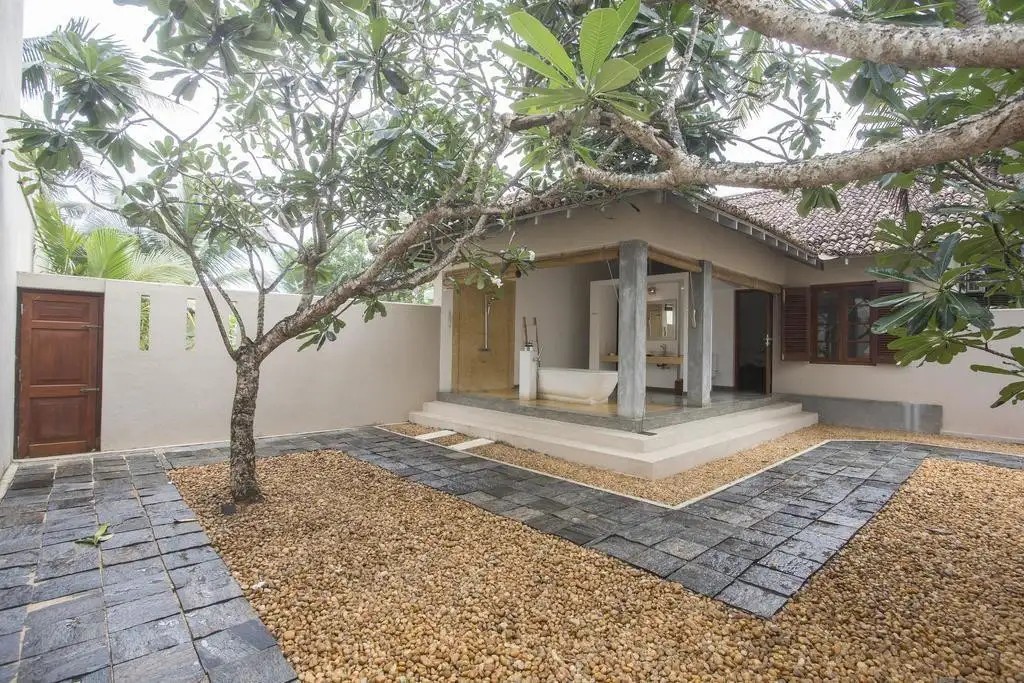 FRANGIPANI TREE
