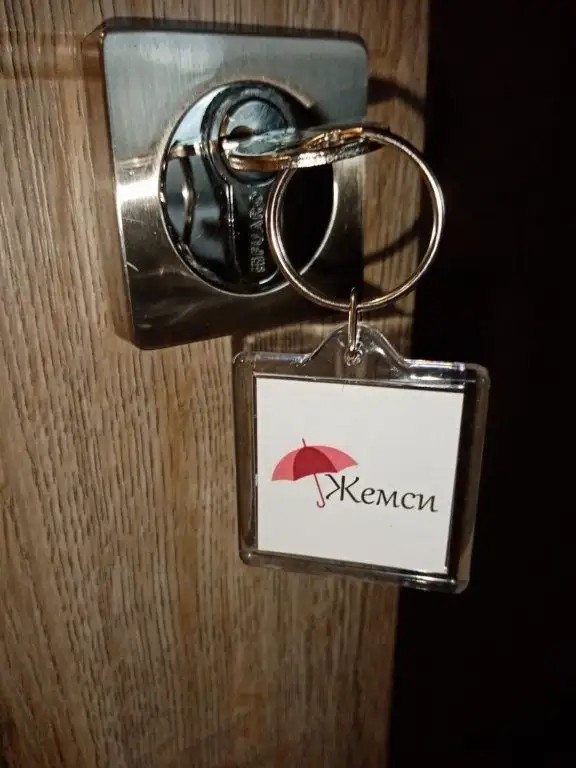 ЖЕМСИ