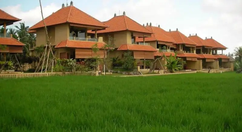GREEN FIELD