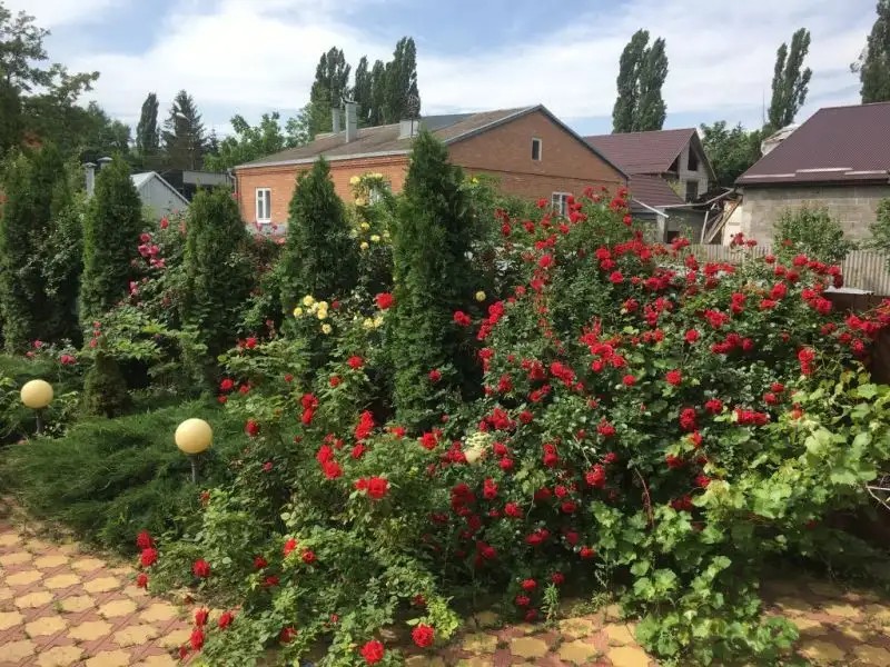 ГОСТЕВОЙ ДОМ У ПАРКА КИРОВА