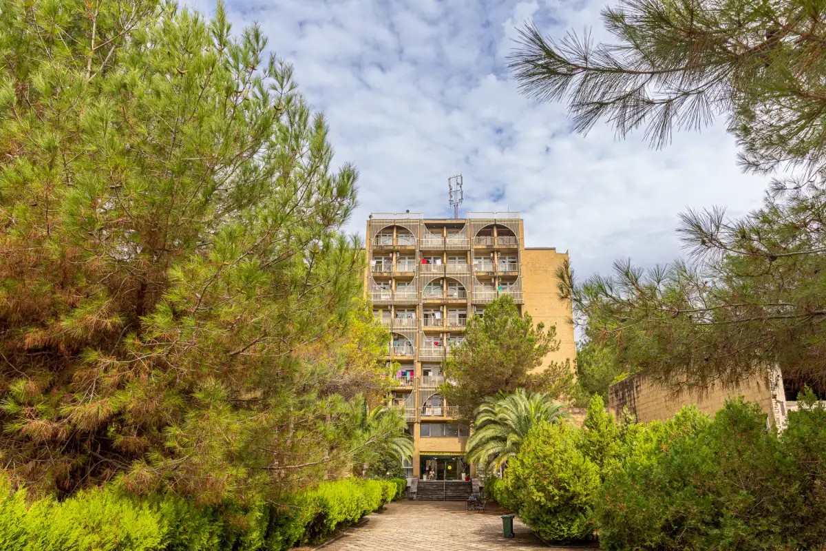 СОСНОВАЯ РОЩА