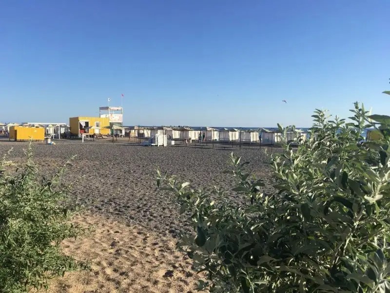 АРПАТ