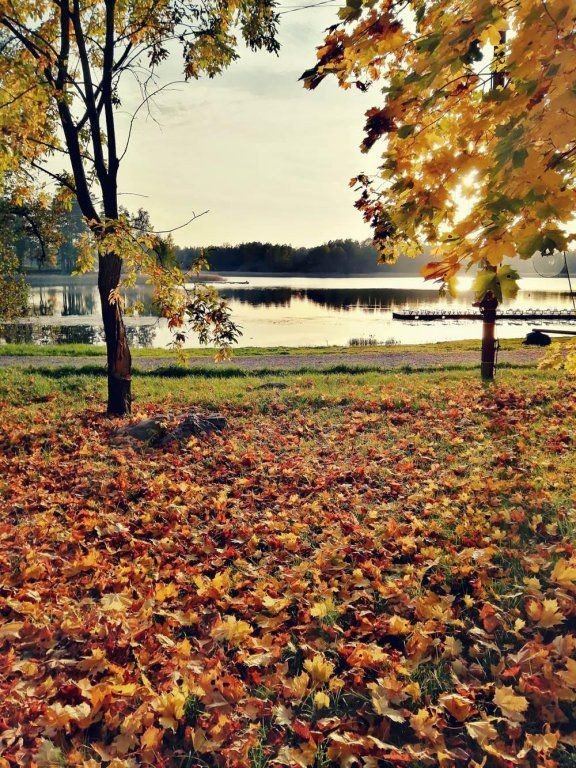 ЯРКОЕ ПАРК-ОТЕЛЬ