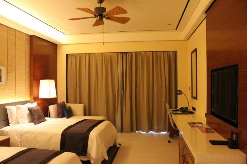 2 single bed standard bay view