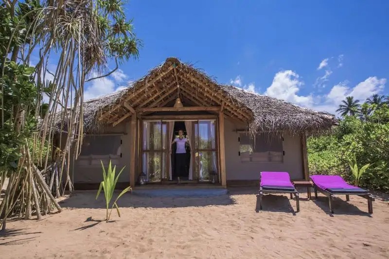 JUNGLE BEACH CAMP