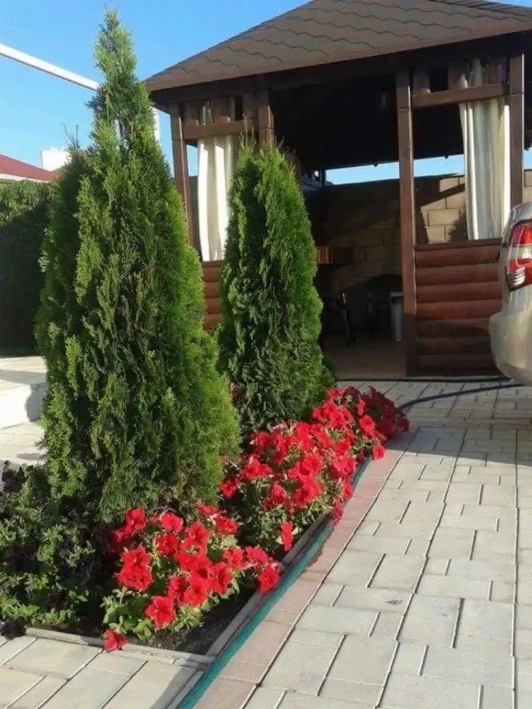 ЯНИ