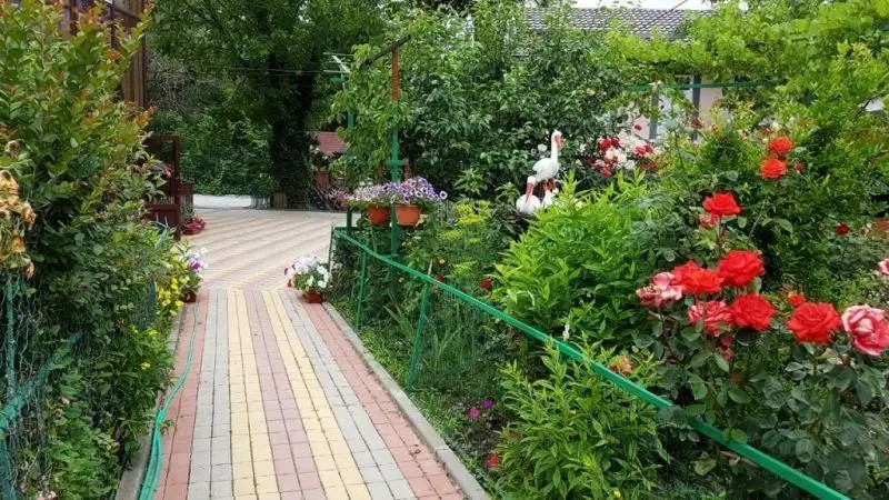 ЭДЕМ У РЕКИ