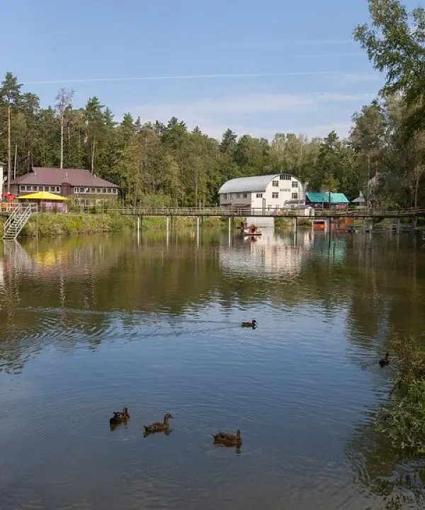РЕГИНА В ПЕТРОВСКОМ