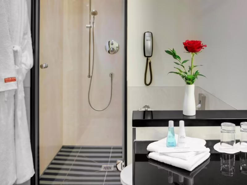 STEIGENBERGER HOTEL DE SAXE DRESDEN