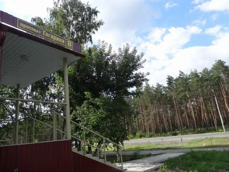 ЗОЛОТАЯ РЫБКА