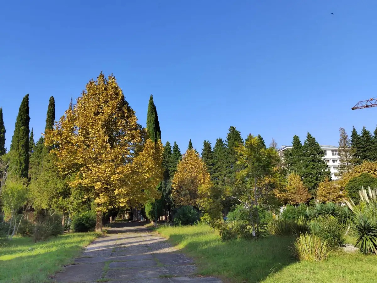 ПСОУ ДОМ ОТДЫХА