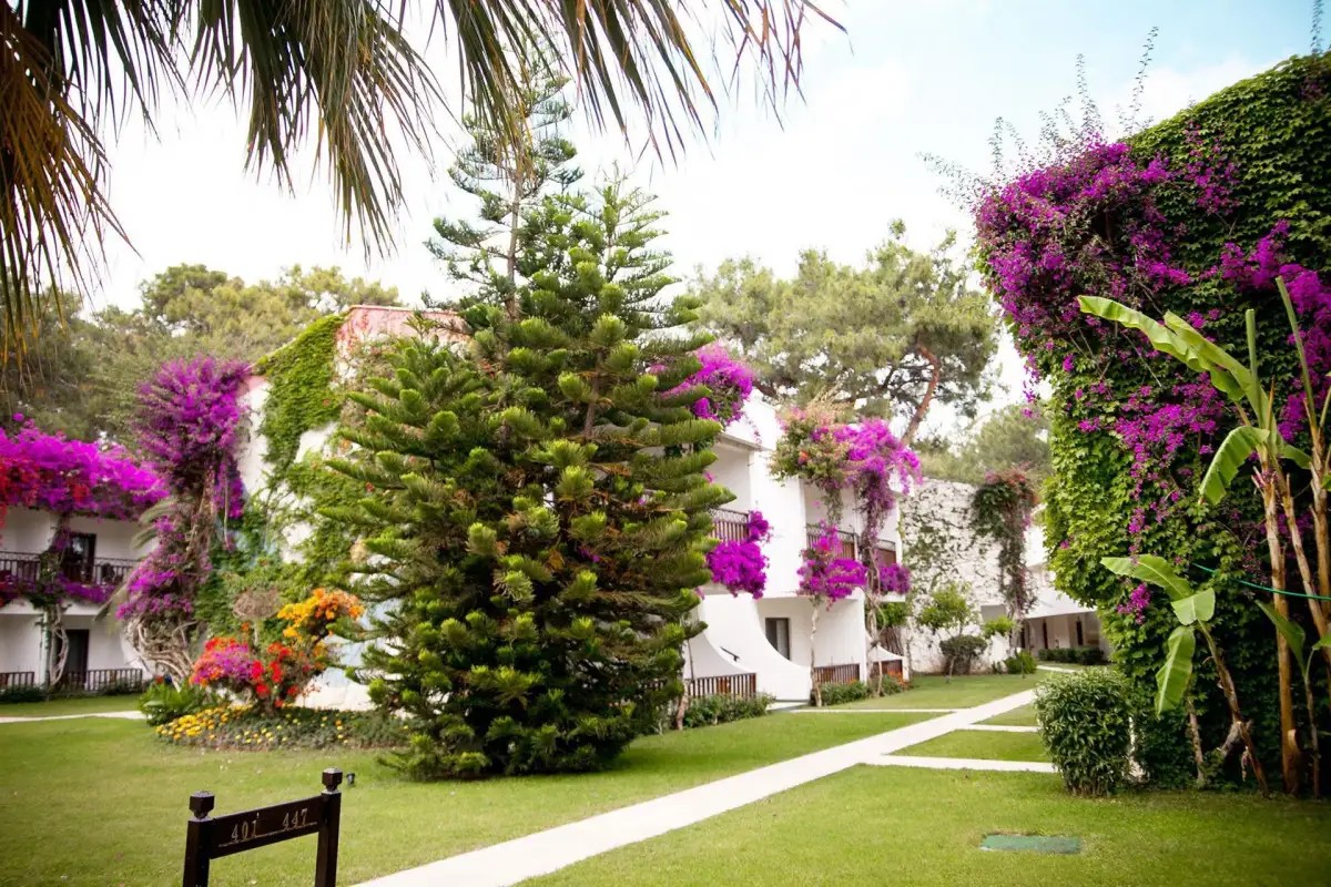 CLUB BORAN MARE BEACH