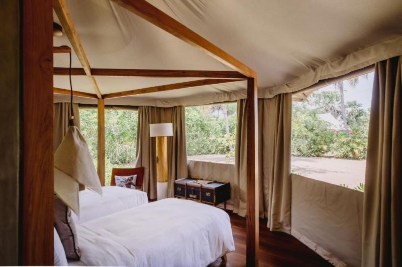 seed family suite