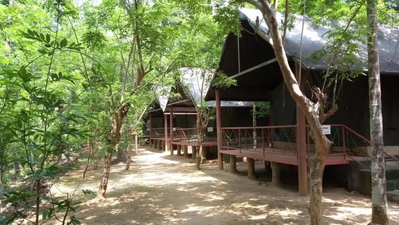 HORNBILL CAMP
