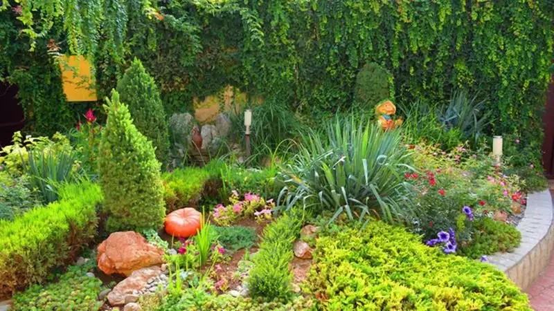 ИТАЛЬЯНСКИЙ ДВОРИК (EL PATIO)