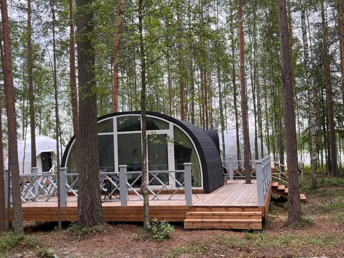 ХВОЯ КАРЕЛИЯ