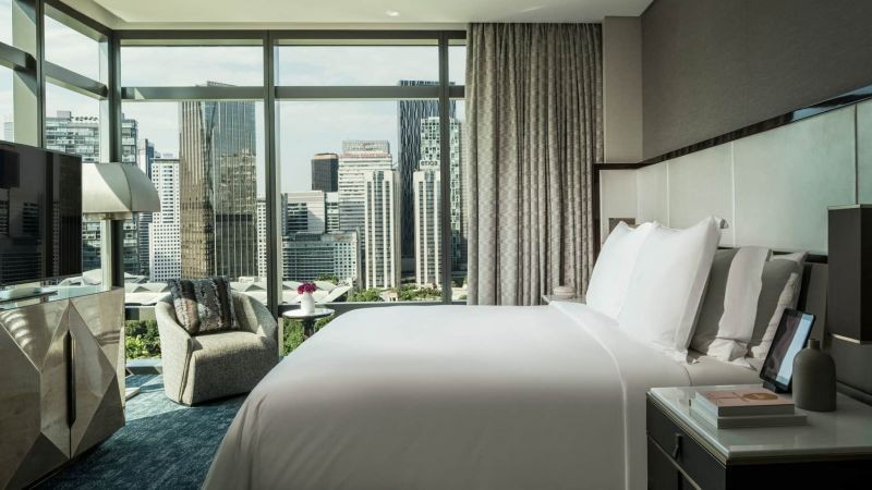 park view suite