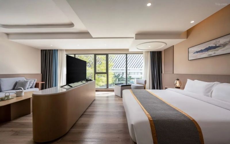 deluxe executive pool