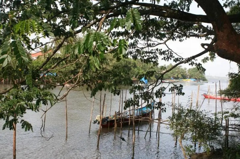 TROPICANA RIVERSIDE