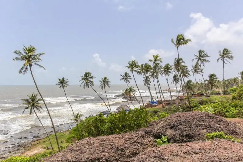 SAN JOAO