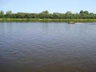 ВИШНЁВЫЙ САД