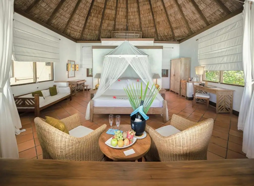 COCO PALM DHUNI KOLHU