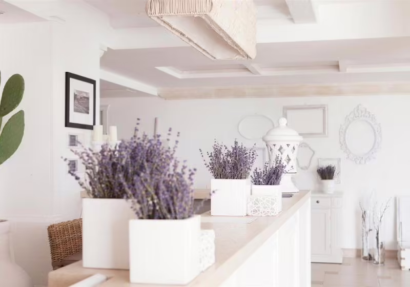 CANNE BIANCHE BEACH HOTEL & SPA