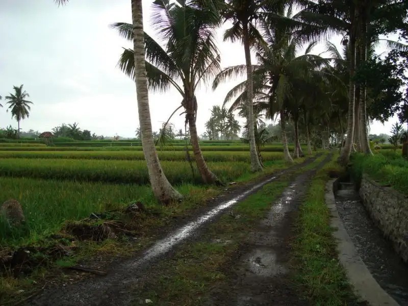 SEMAMPAN VILLAGE GUESTHOUSE