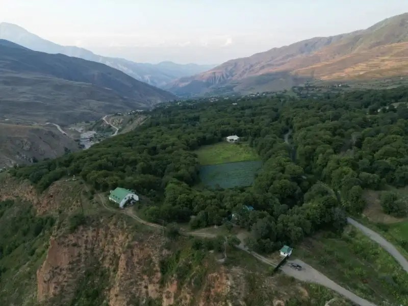 БАЗА ОТДЫХА ДУБОВАЯ РОЩА