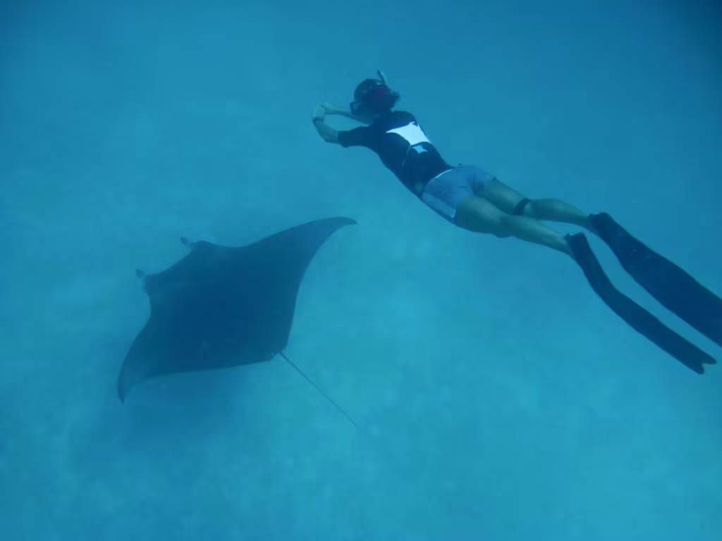 COCO PALM DHUNI KOLHU