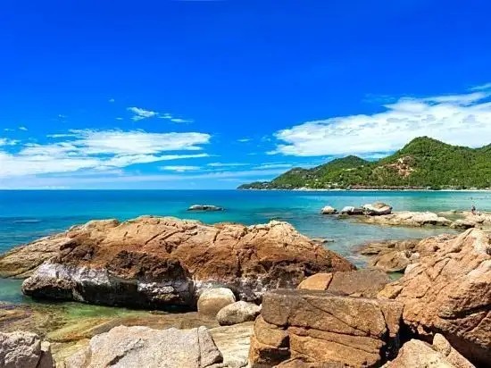 THE GARDENS