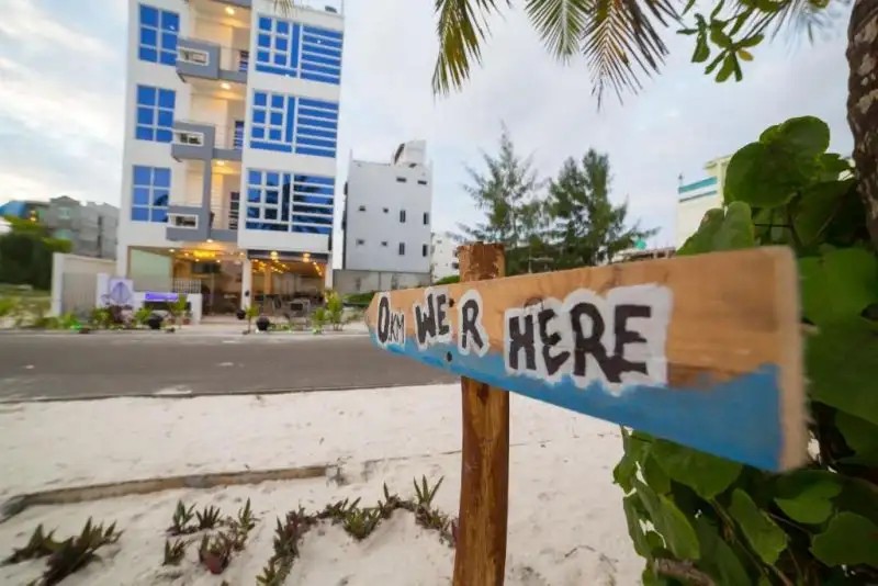 THE WHITE HARP BEACH