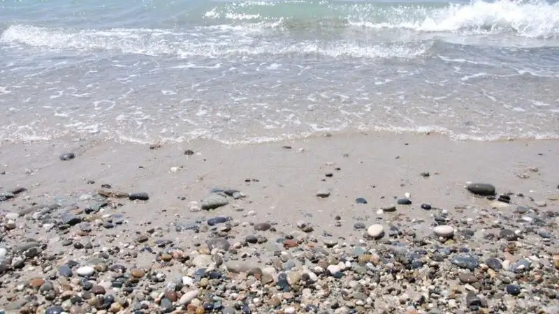 ЗОЛОТОЙ БЕРЕГ ГУДАУТА